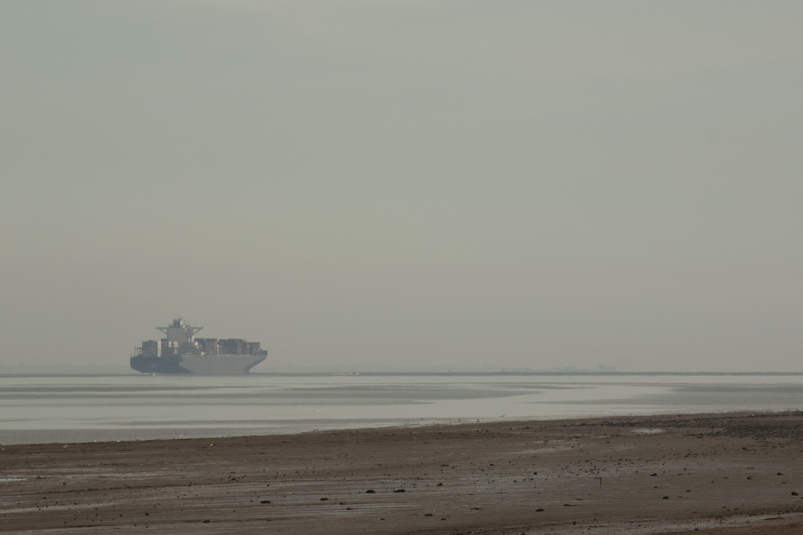 Estuary Horizon