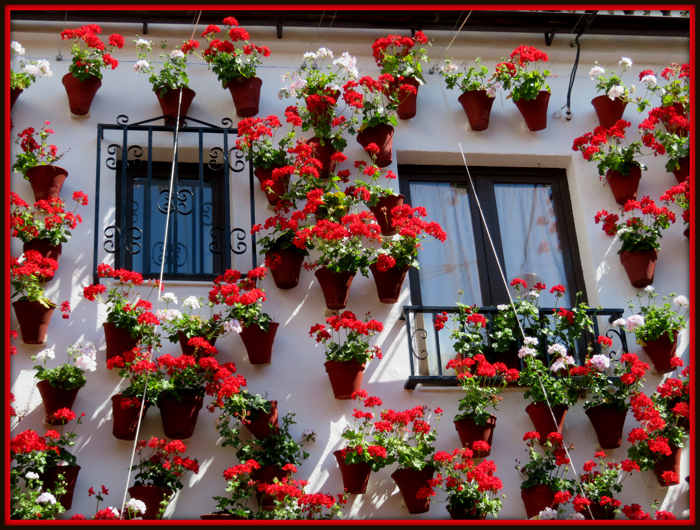 Esuberanza in rosso!