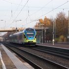 ET 019 der Westfalenbahn im herbstlichen Bf.Hasbergen