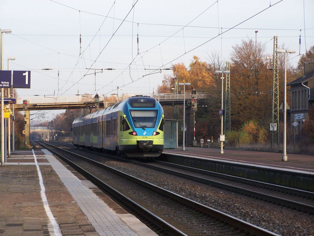 ET 019 der Westfalenbahn im herbstlichen Bf.Hasbergen