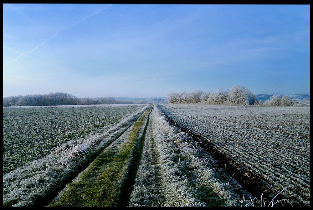 et au bout du chemin...