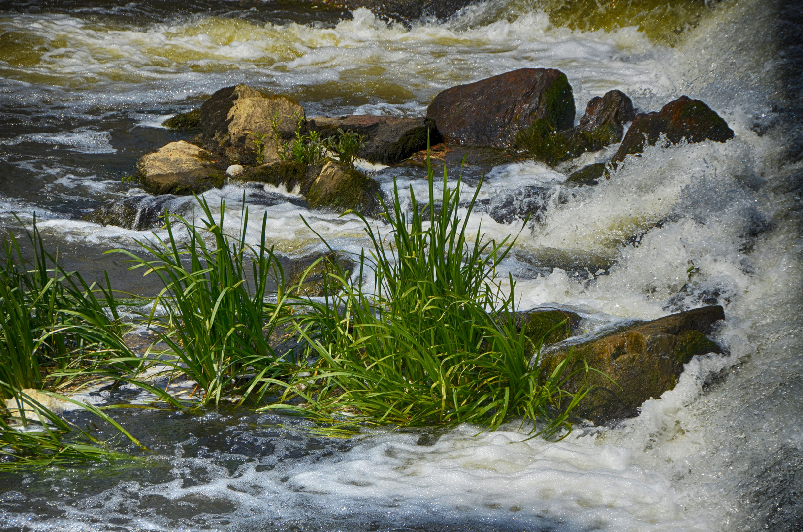 Et au milieu, coule la rivière....