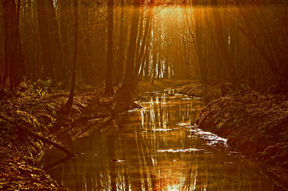 et au milieu coule une riviere