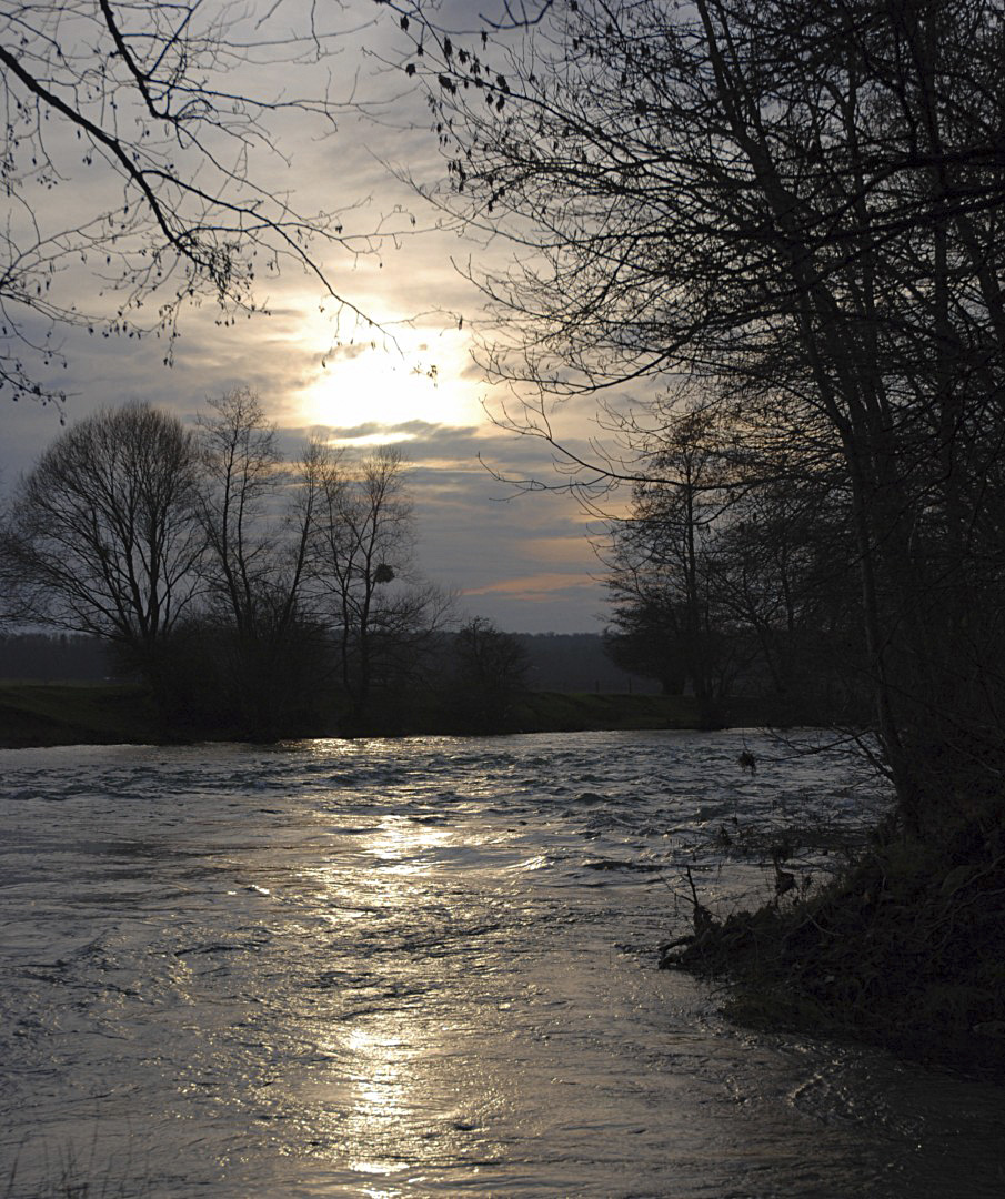 Et au milieu, coule une rivière