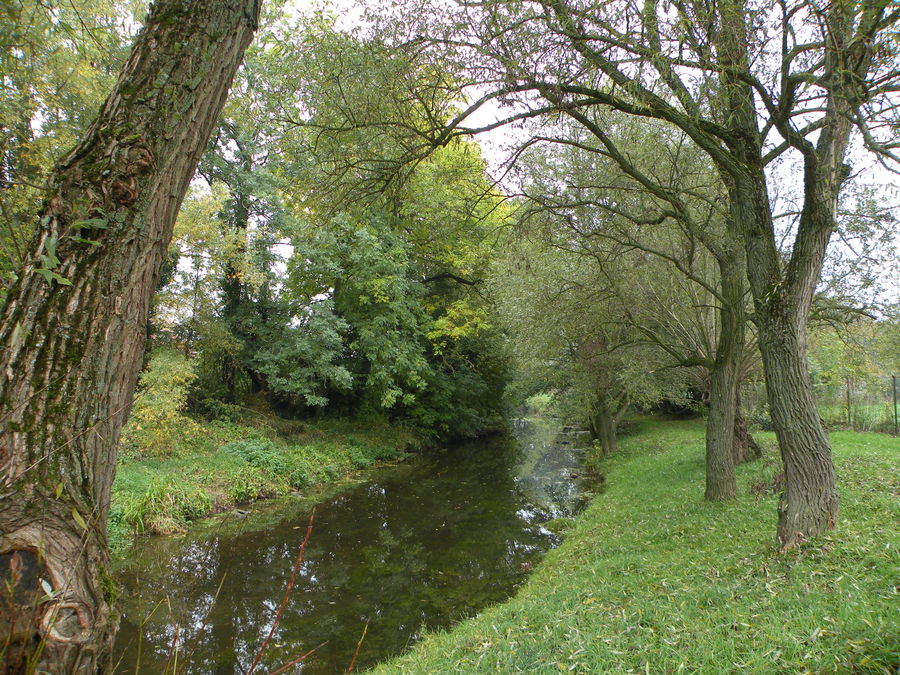 Et au milieu coule une rivière.