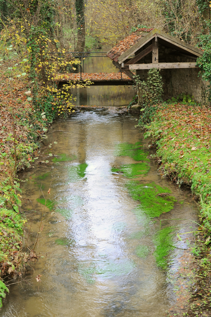 Et au milieu coule une rivière