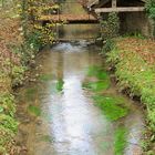 Et au milieu coule une rivière