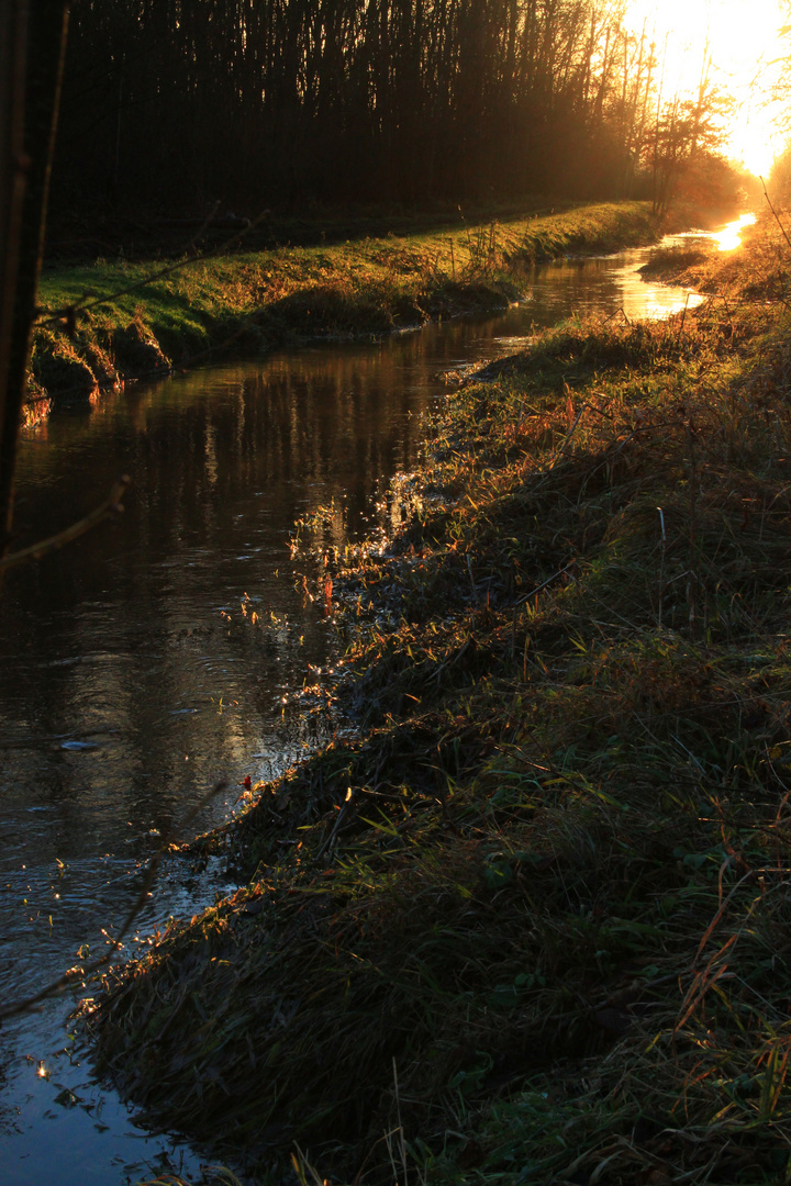 Et au milieu coule une rivière...