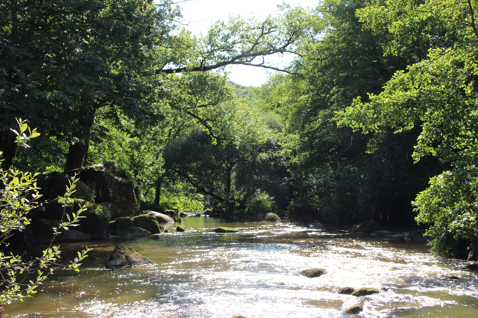 Et au milieu coule une rivière