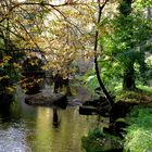 Et au milieu coule une rivière.