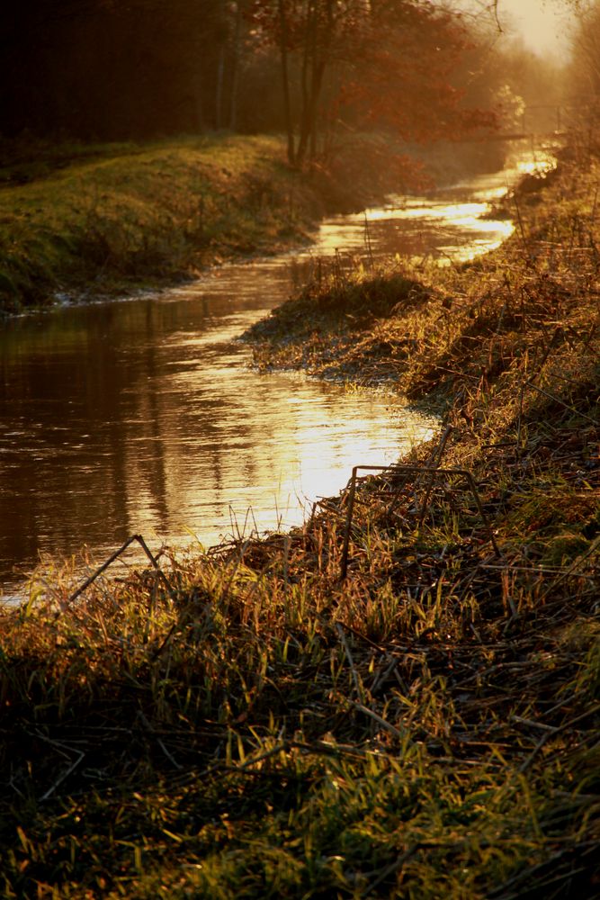 et au milieu coule une rivière...(2)