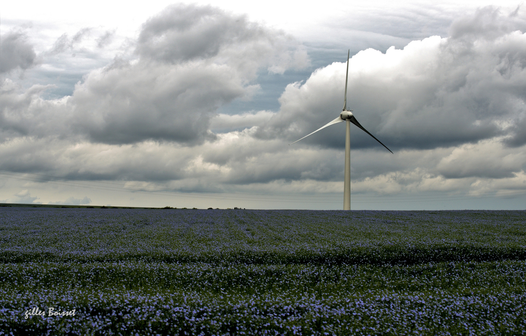 Et au milieu pousse une éolienne.