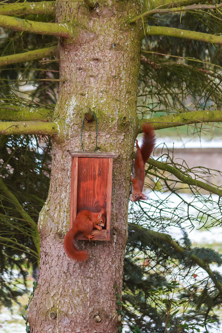 Et de deux!