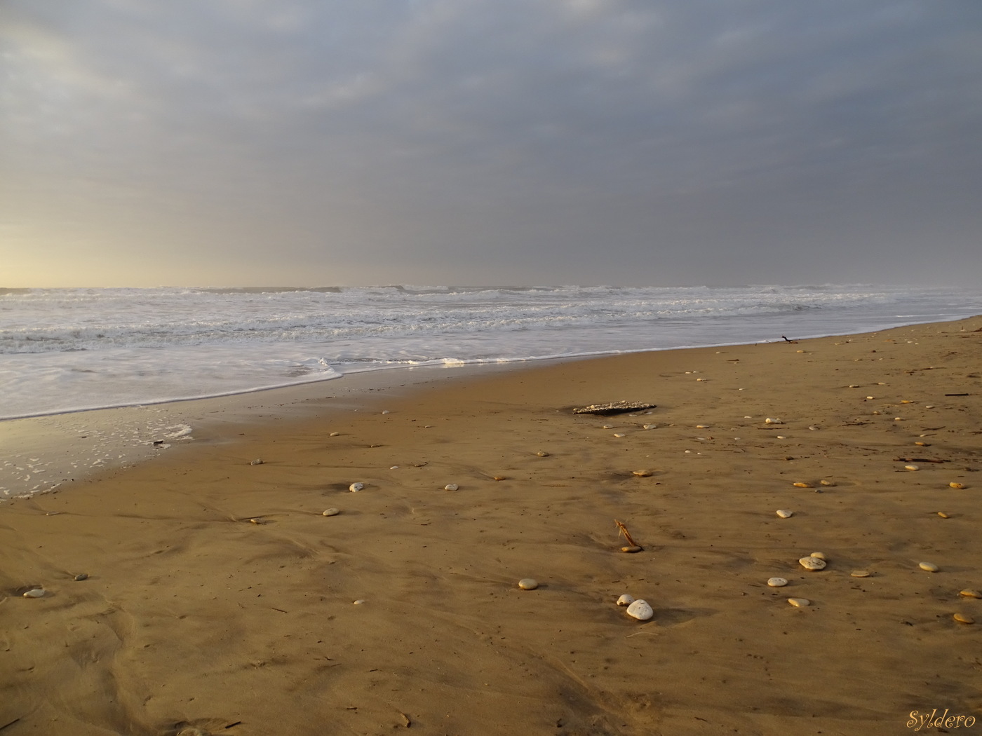 Et je reste des heures à regarder la mer