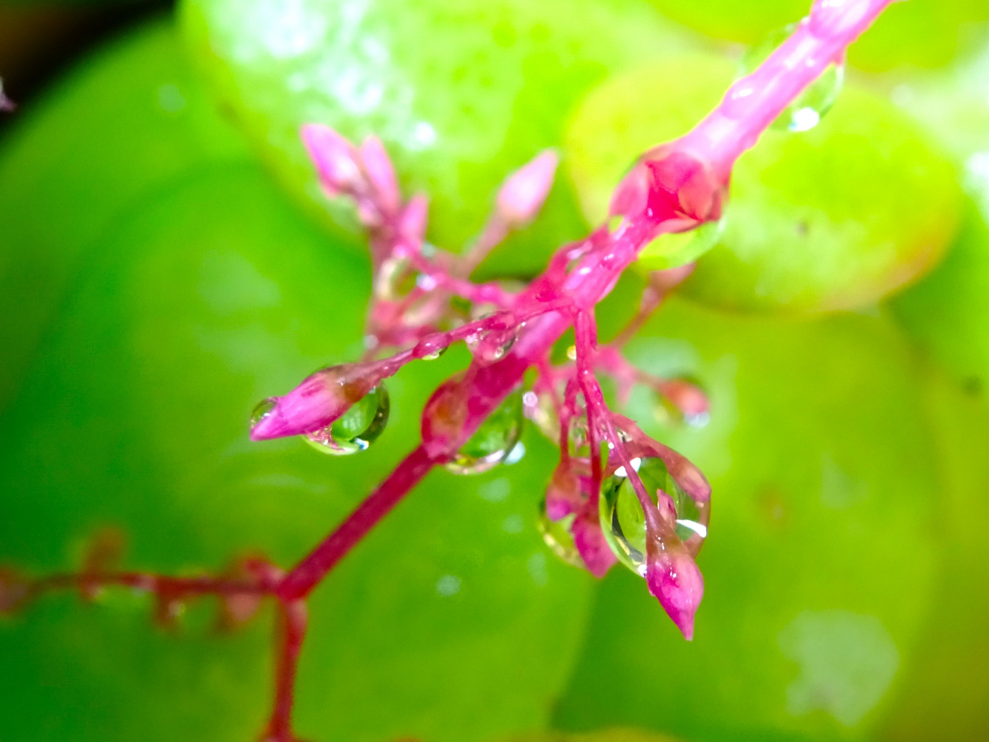 Et la pluie....