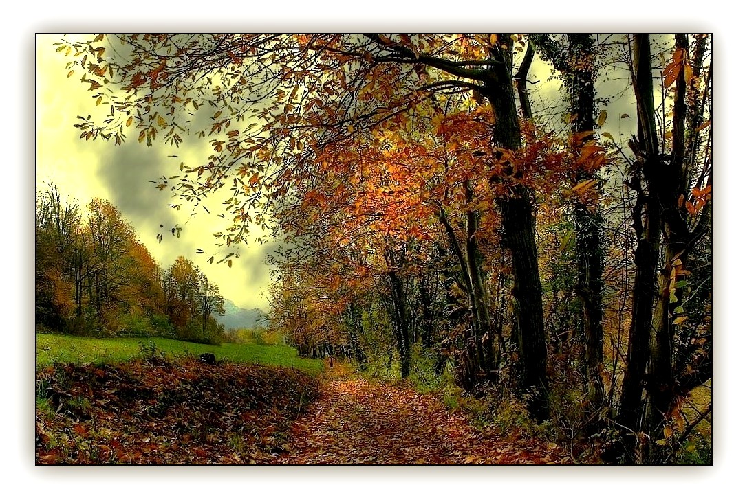 Et le chemin longeait l'automne...