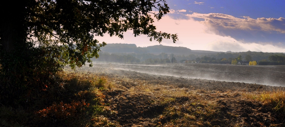 Et le Soleil chassa la brume... (1)