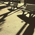 Et les bancs solitaires se racontent leurs ombres dans le jardin désert...