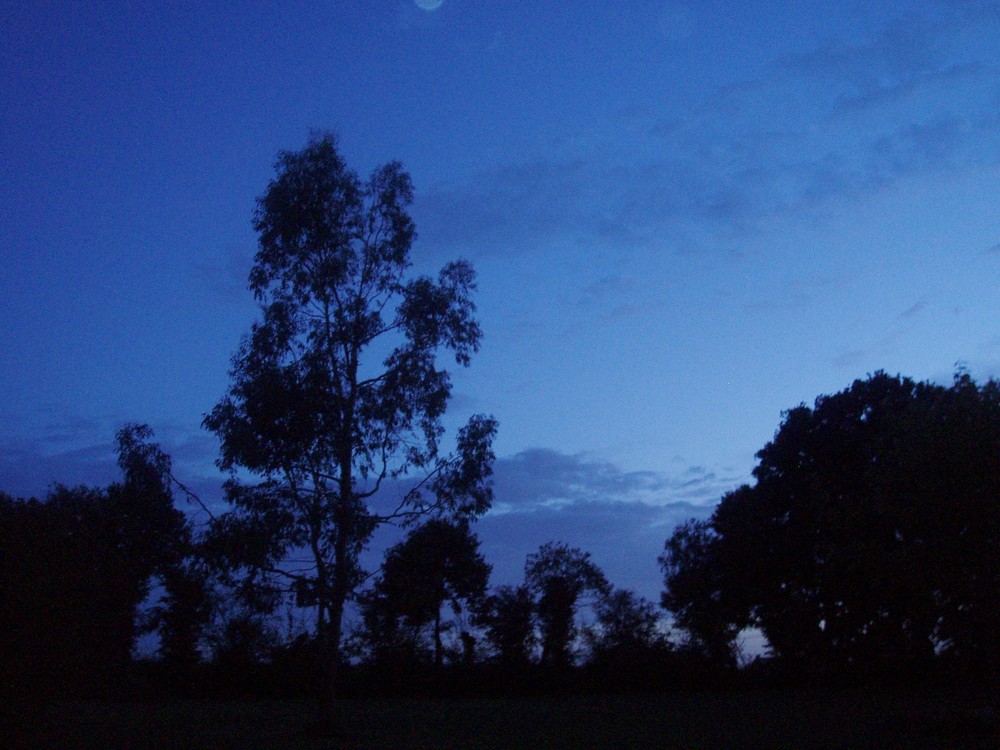 Et par une nuit bleue ...