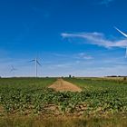 Et pendant ce temps-là, elles tournent… ! Eoliennes et champ de pommes de terre.