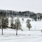 Et puis... vint la neige!...