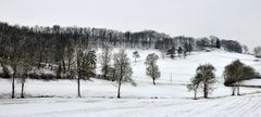 Et puis... vint la neige!...