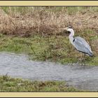 et rond dans l'eau