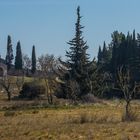 Et soudain au bout du chemin : St.Sixte, c'est çà la Provence.