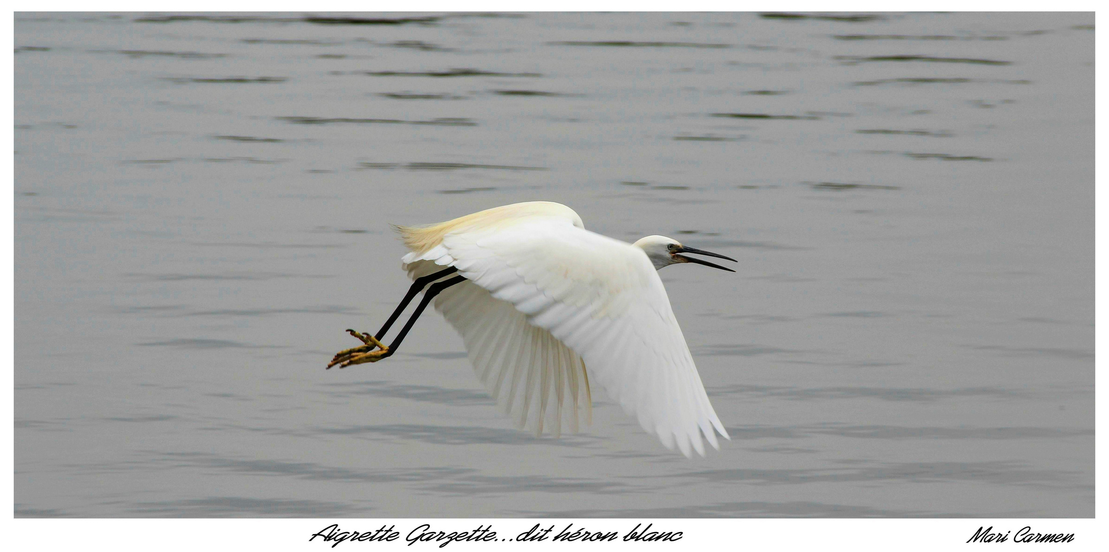 Et un ange passe...!