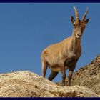 etagne à 3000m