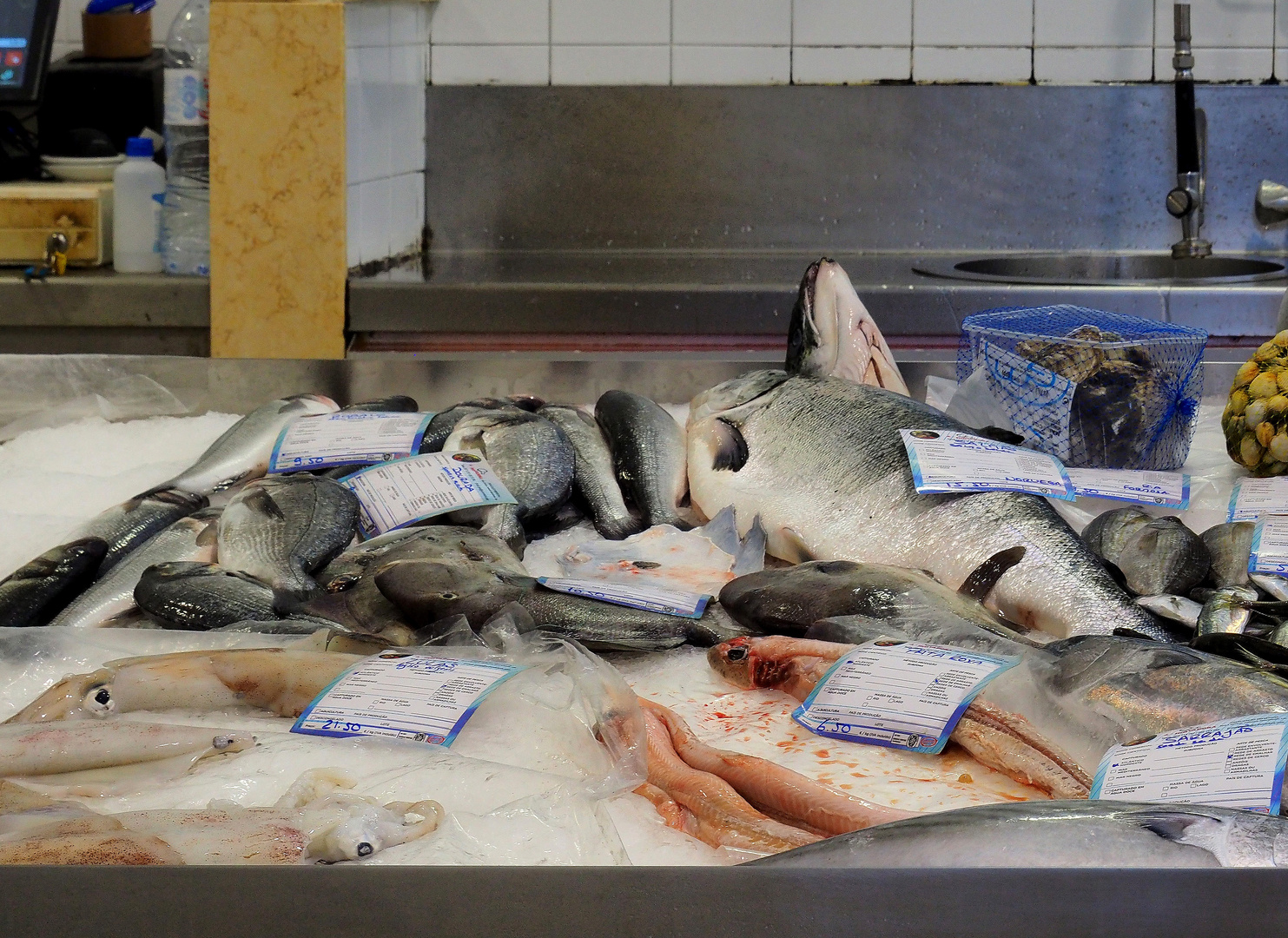 Etal de poissons au marché d’Olhos de Agua