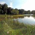 Etang à Genval.(B)