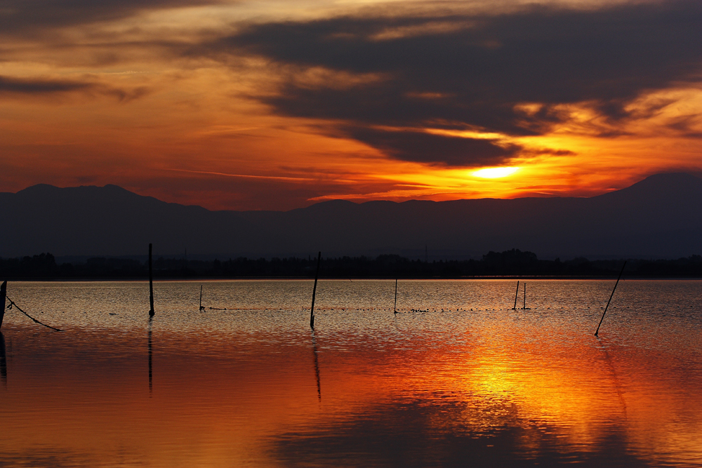 etang a l'approche de la nuit