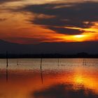 etang a l'approche de la nuit