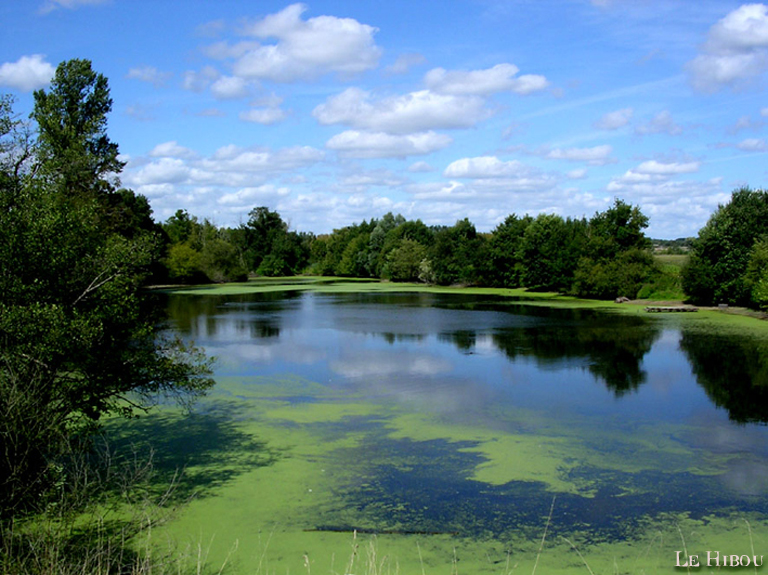 Etang à St Georges