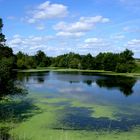 Etang à St Georges