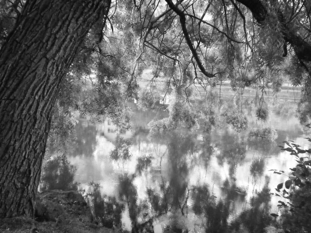 etang alpes