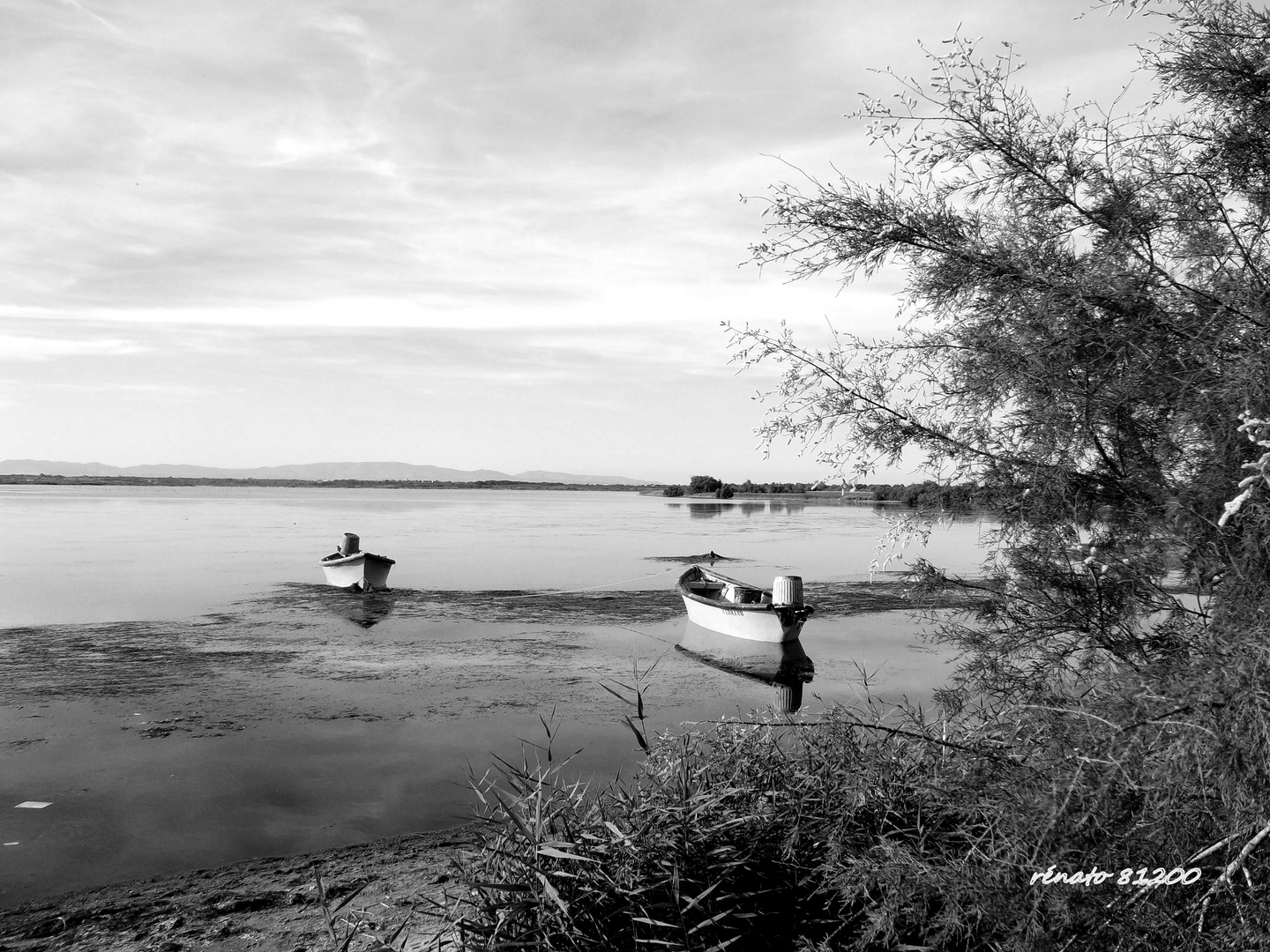 etang canet saint-nazaire 1