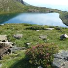 Etang d'Albe, Couserans, Pyrénées.