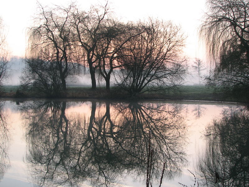 Etang Dangu