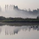 Etang dans la brume