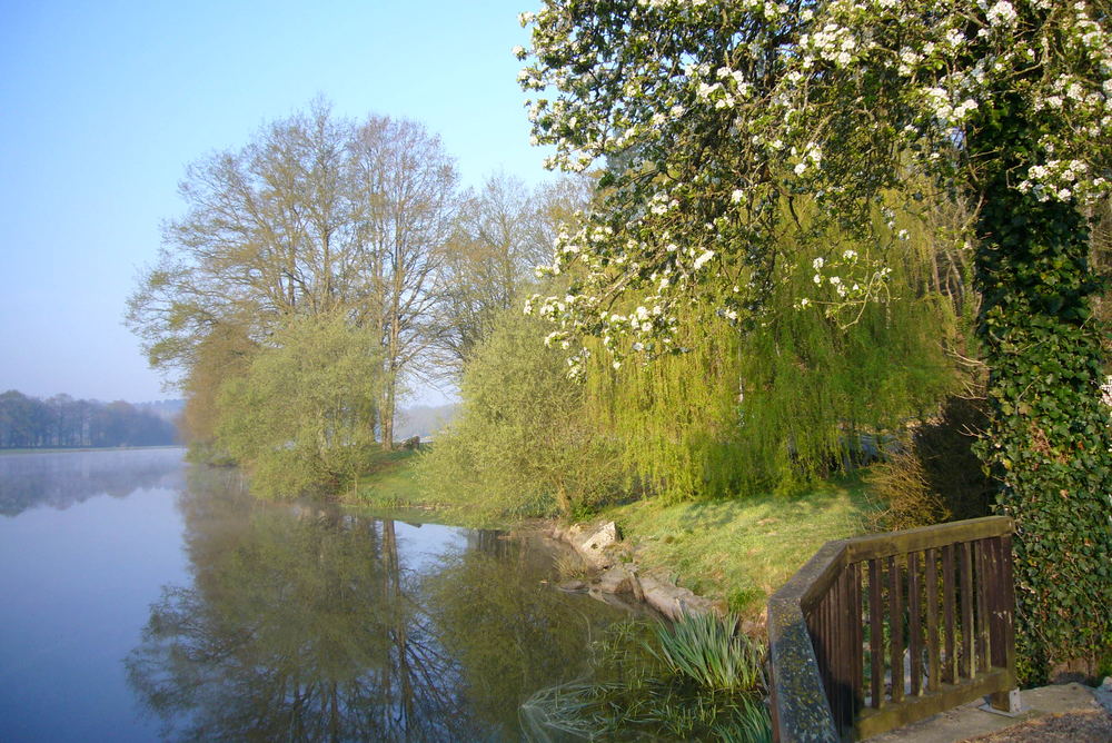 etang d'avril 2