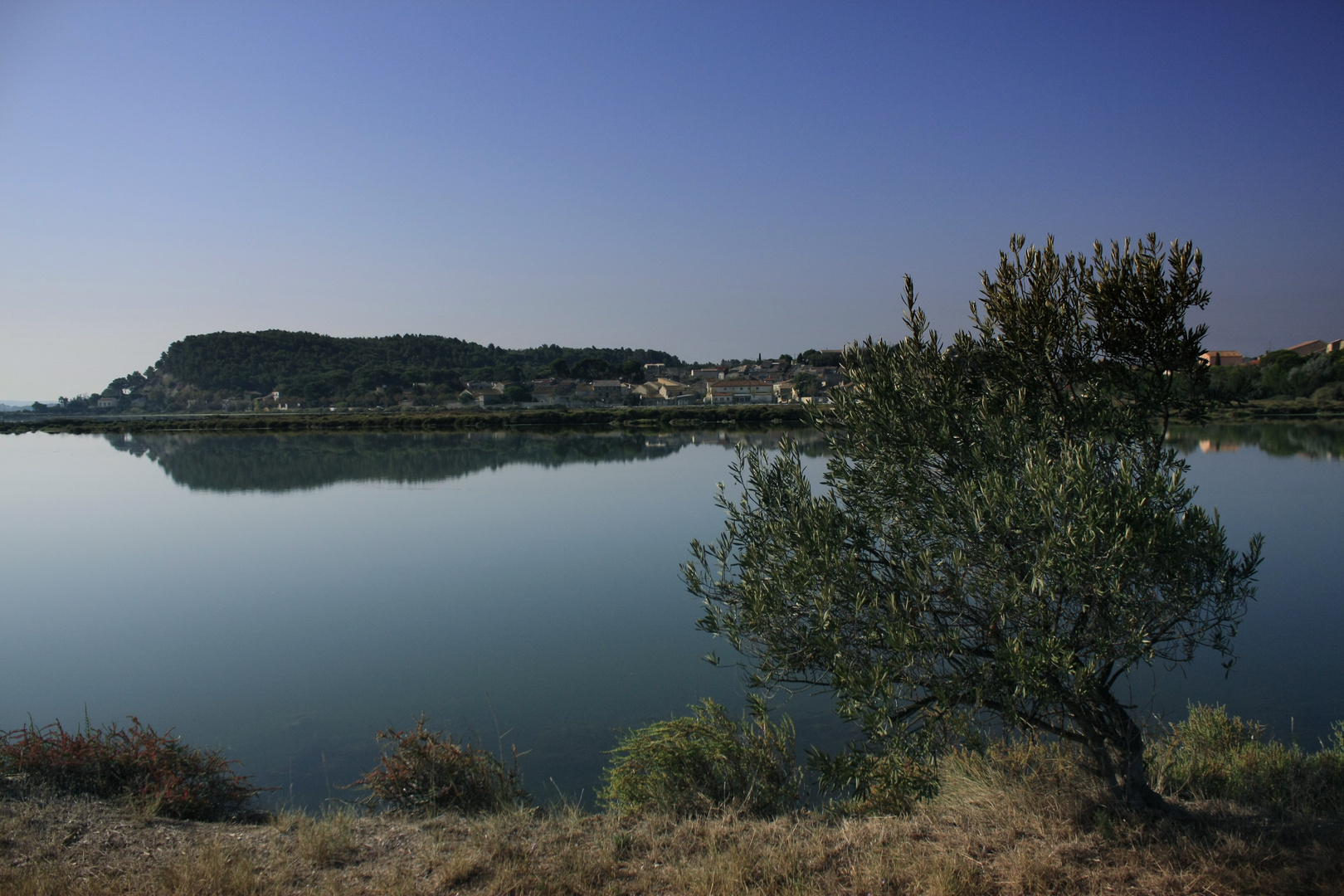 Etang de Bages