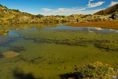 Etang de Bellonguère (Ariège).