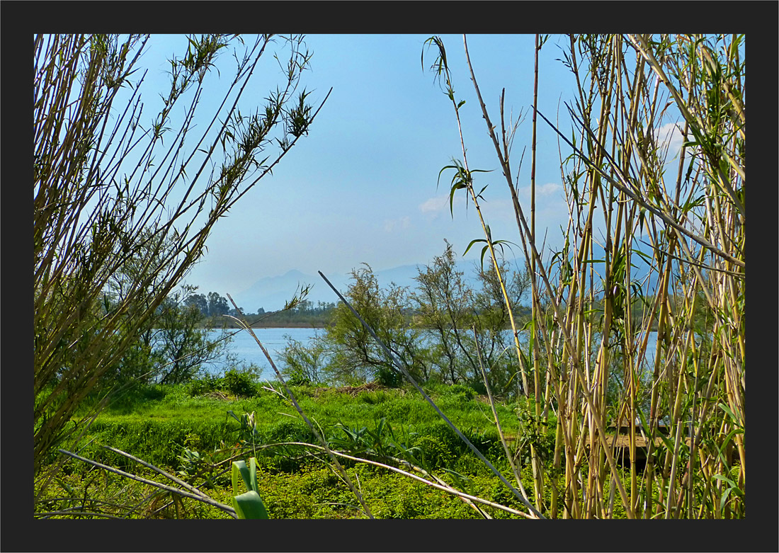 Etang de Biguglia