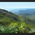 Etang de Biguglia