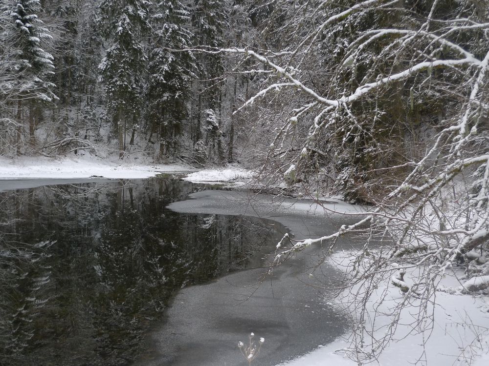 Etang de Bollement