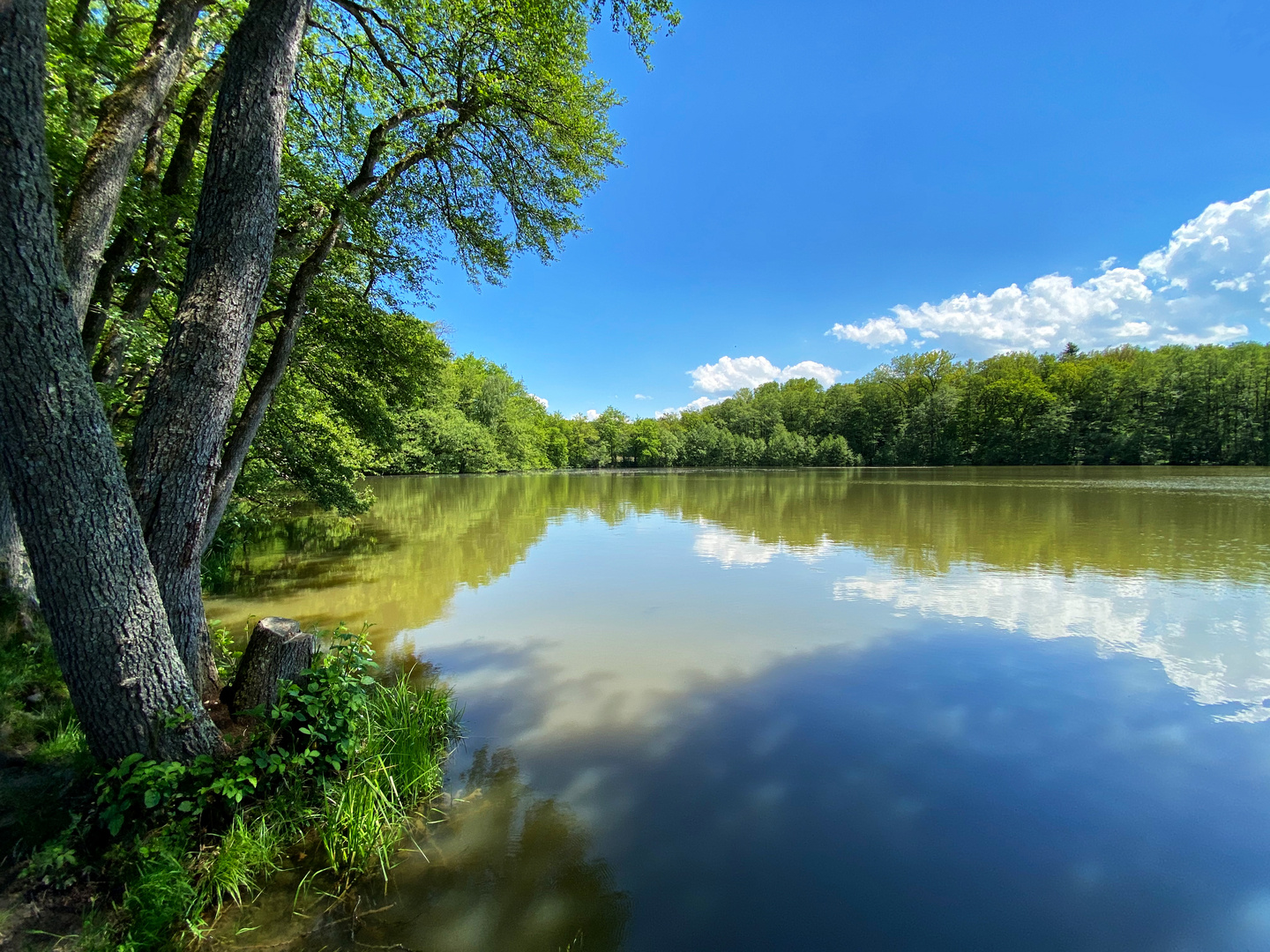 Etang de bonfol