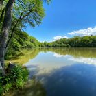 Etang de bonfol