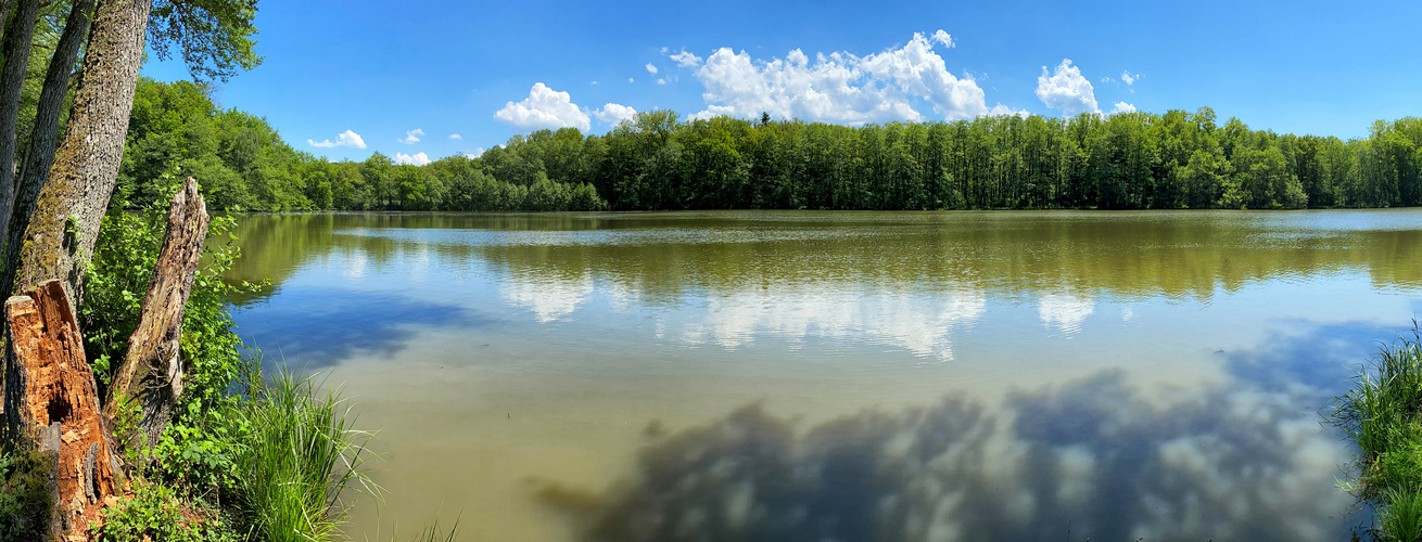 etang de bonfol2